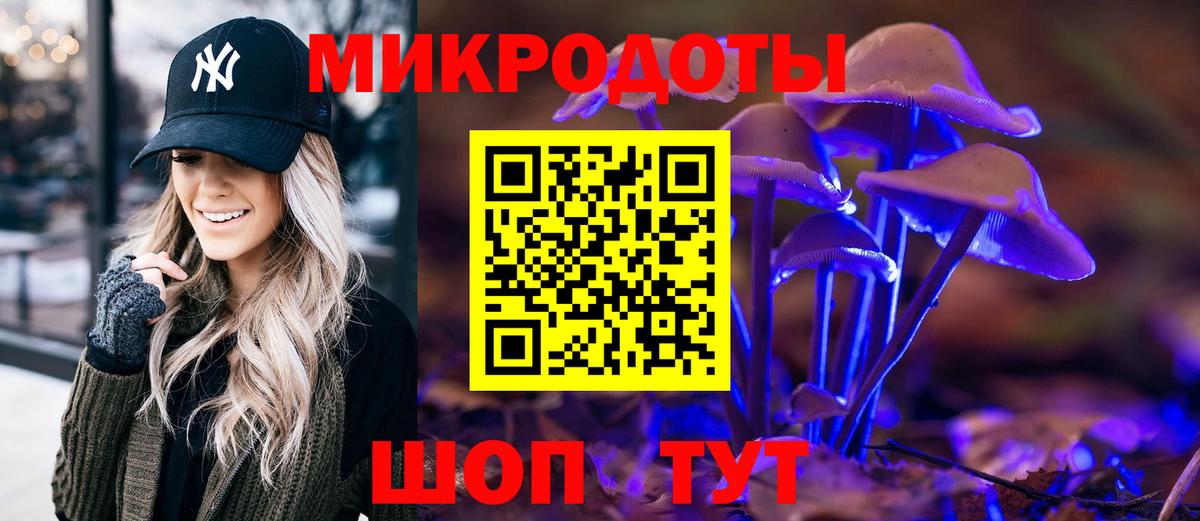 Псилоцибиновые грибы мицелий Ковров