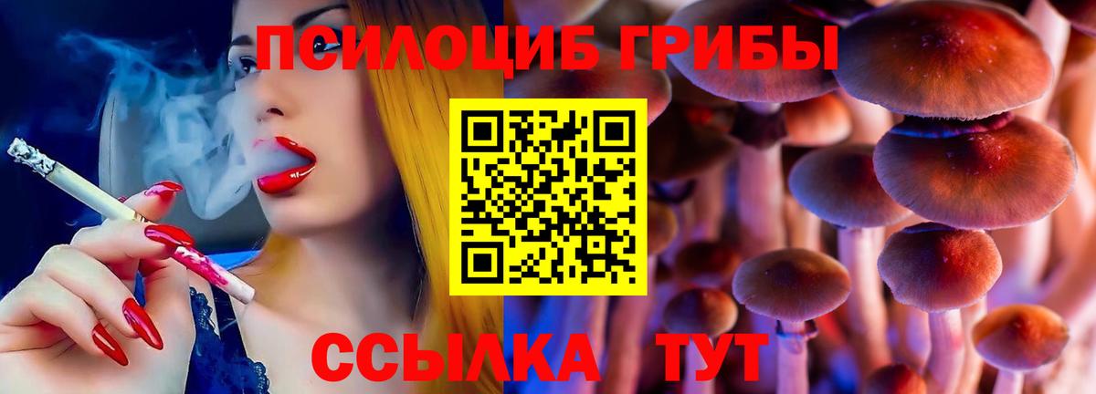 Псилоцибиновые грибы мицелий  сколько стоит  Галлюциногенные грибы мицелий  Ковров  Вход с VPN 